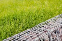 joannes-espaces-verts-5