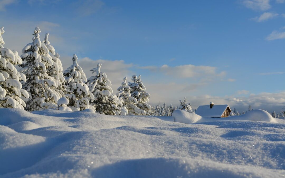Entreprise de déneigement sur les Hautes-Vosges
