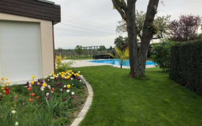 Élagueur à Remiremont : prendre soin de vos arbres