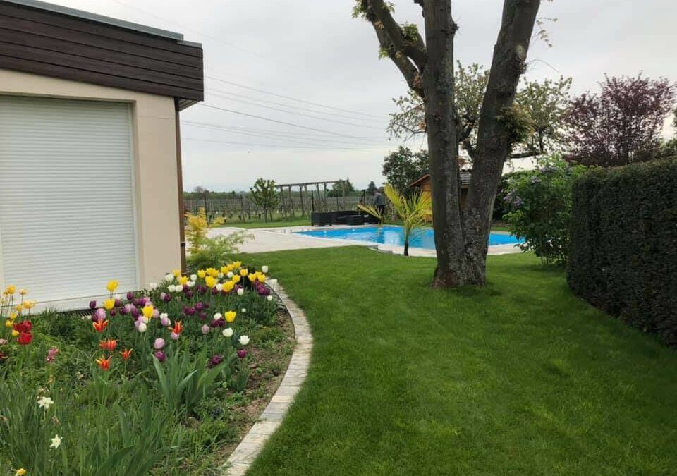 Élagueur à Remiremont : prendre soin de vos arbres