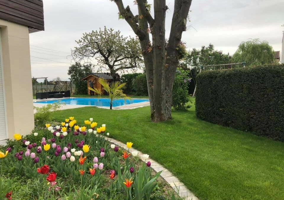 Abattage d’arbre à Épinal : une intervention soignée