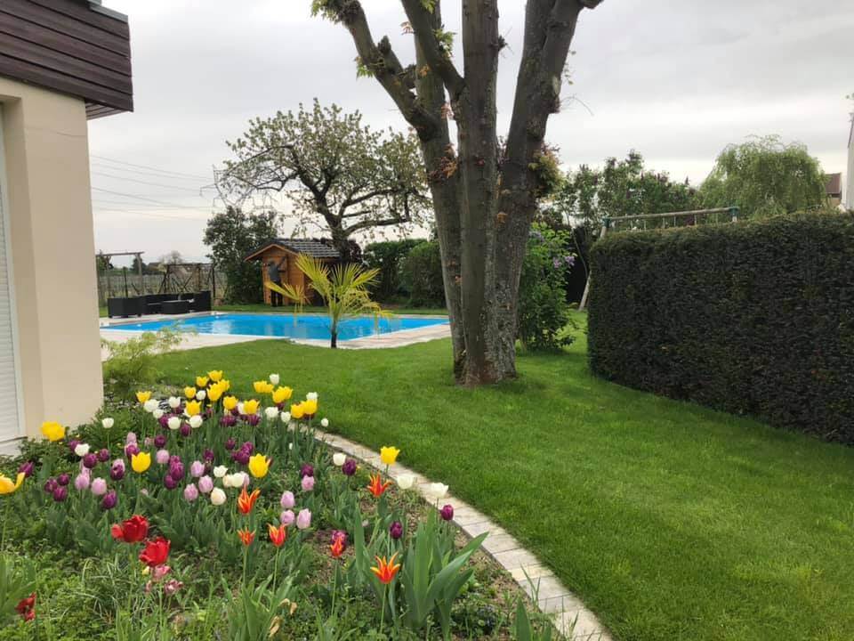 58608362_1042985165887181_8978442988405391360_n